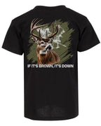 If It's Brown, It's Down T-shirt