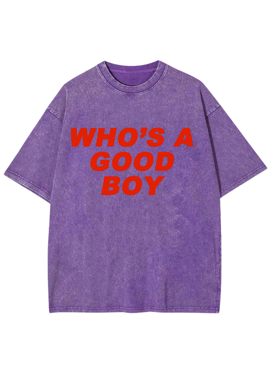 Who's A Good Boy Y2K Washed Tee
