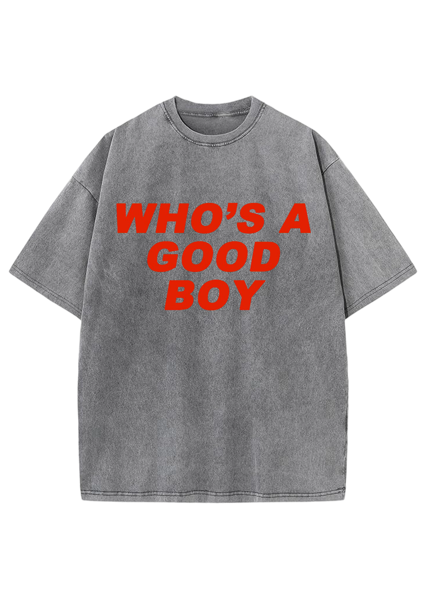 Who's A Good Boy Y2K Washed Tee