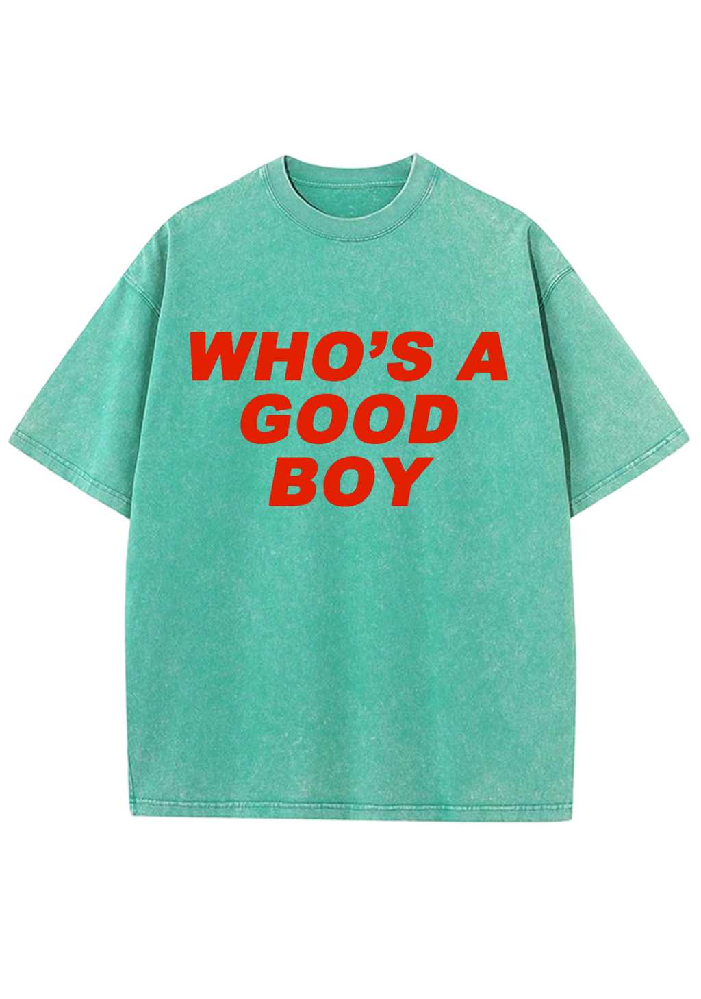 Who's A Good Boy Y2K Washed Tee