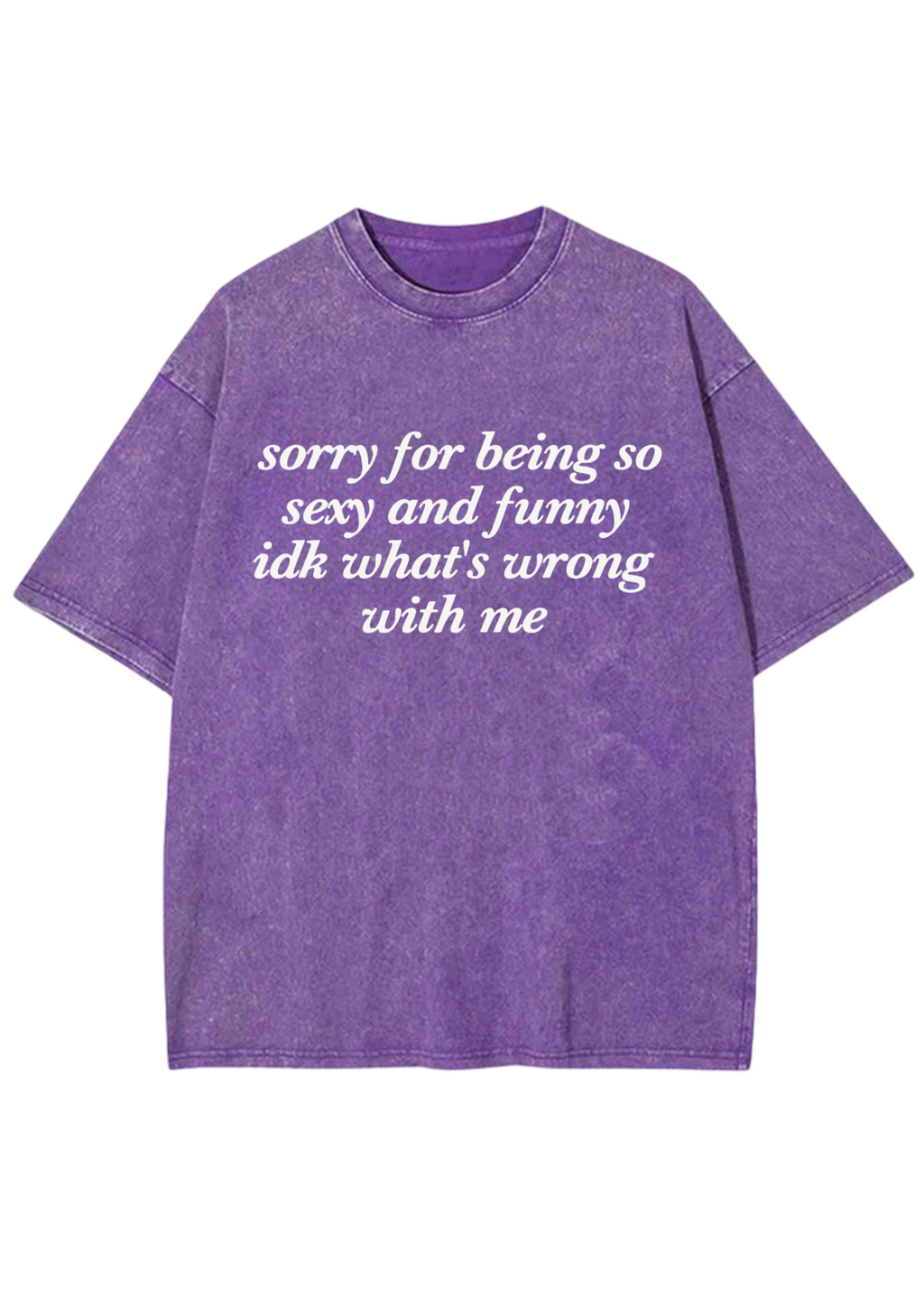 Sorry For Being So Sexy And Funny Y2K Washed Tee