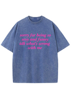 Sorry For Being So Sexy And Funny Y2K Washed Tee