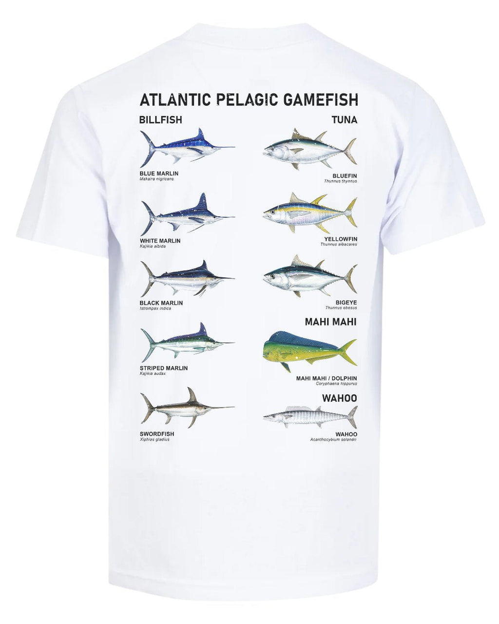 Atlantic Pelagic Gamefish T-shirt