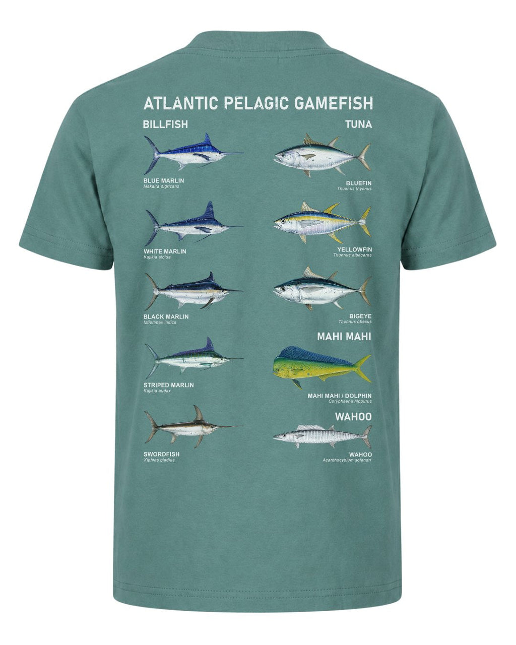 Atlantic Pelagic Gamefish T-shirt