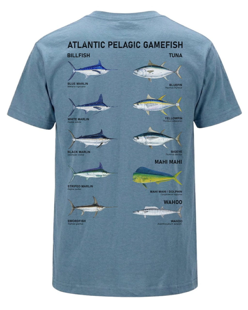 Atlantic Pelagic Gamefish T-shirt