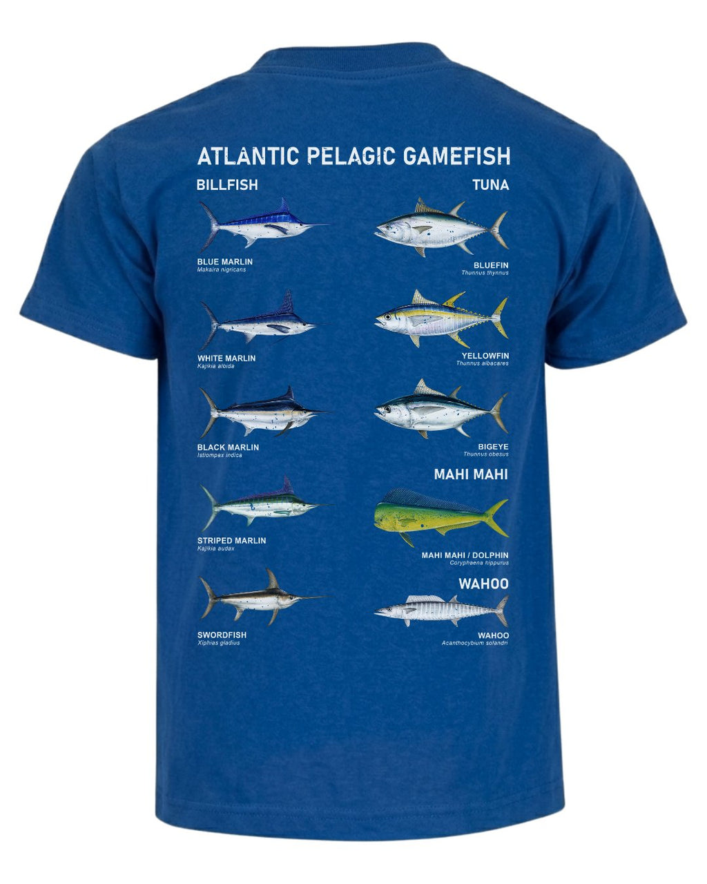 Atlantic Pelagic Gamefish T-shirt