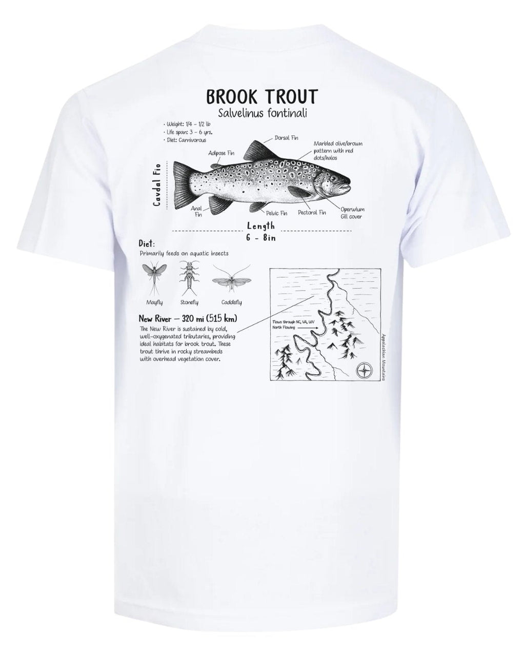 Brook Trout Anatomy Blueprint T-shirt