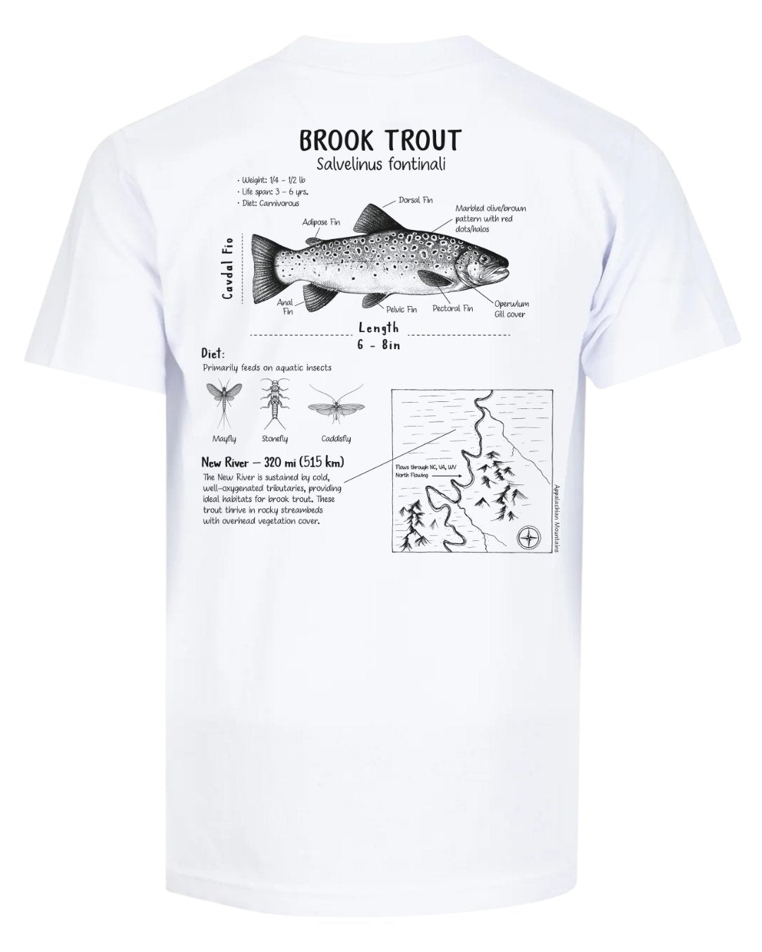 Brook Trout Anatomy Blueprint T-shirt