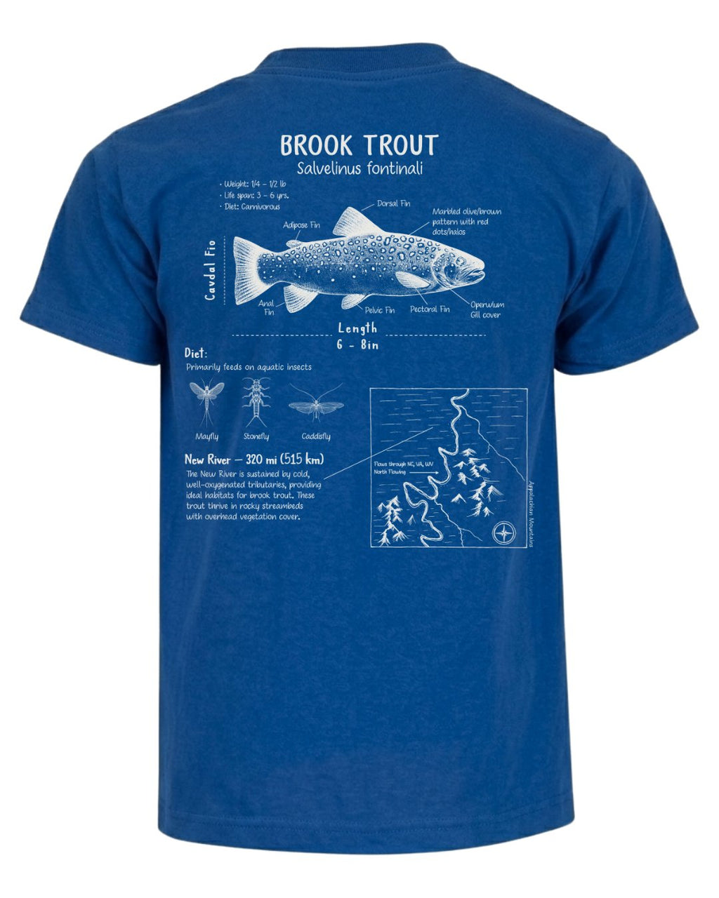 Brook Trout Anatomy Blueprint T-shirt