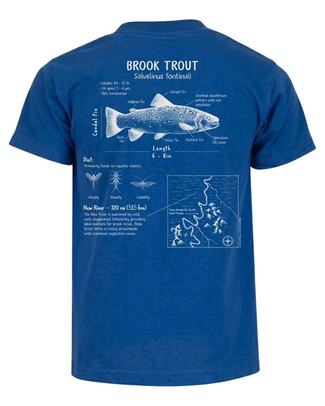 Brook Trout Anatomy Blueprint T-shirt