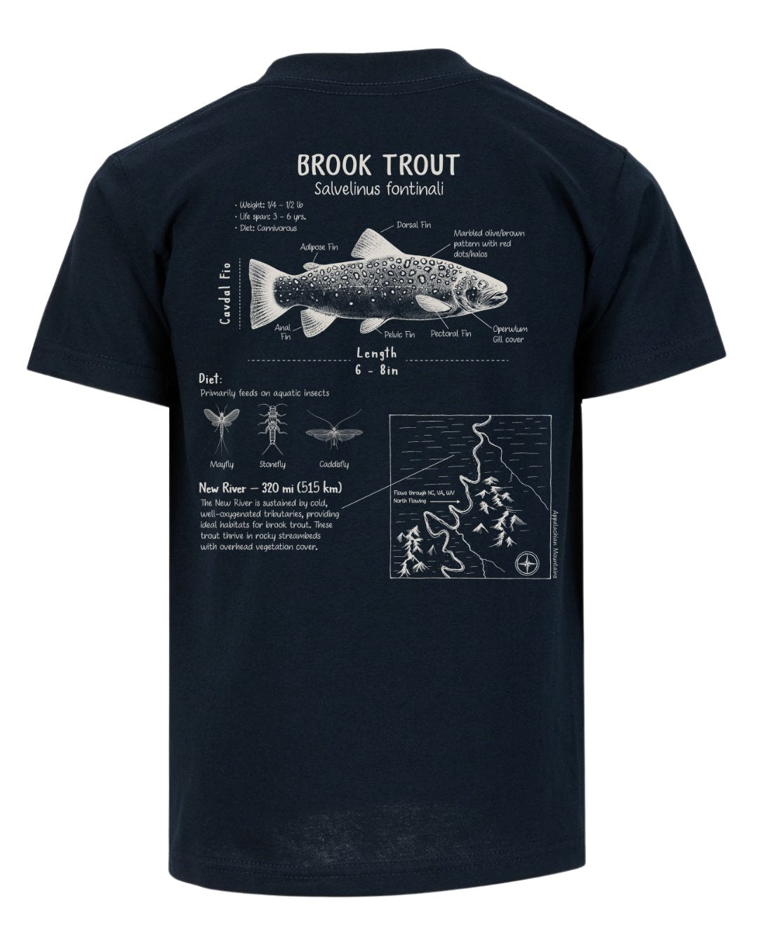 Brook Trout Anatomy Blueprint T-shirt