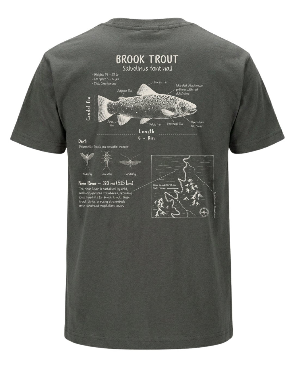 Brook Trout Anatomy Blueprint T-shirt