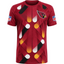 Arizona Cardinals Ethnic Geometric Print Men's NFL Fan Short Sleeve T‑Shirt