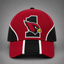 Arizona Cardinals #1 Team Logo Baseball Cap