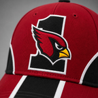 Arizona Cardinals #1 Team Logo Baseball Cap