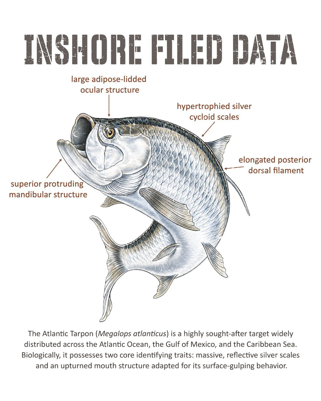 Inshore Field Data Tarpon T-shirt