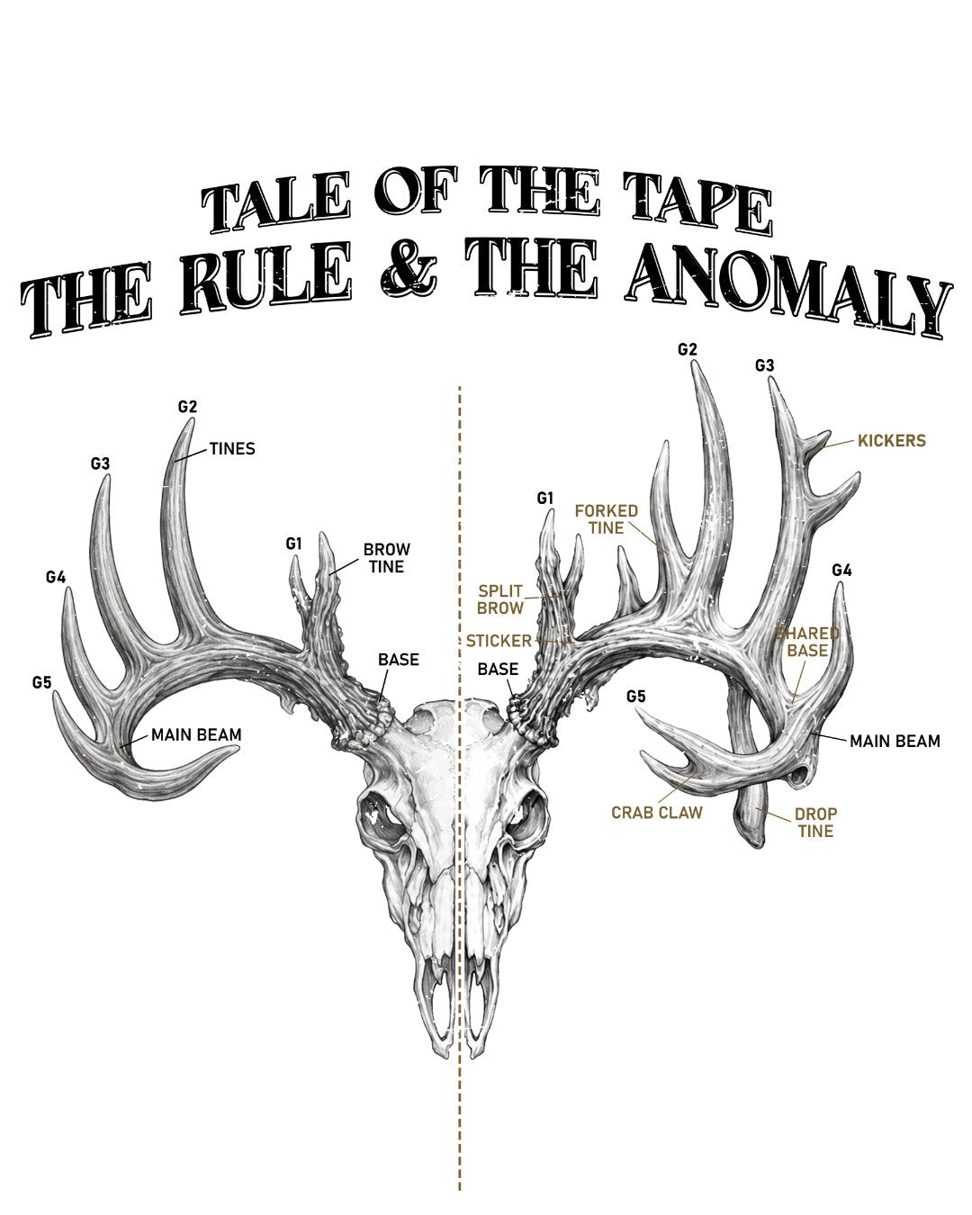 Tale Of The Tape Deer Antler T-shirt