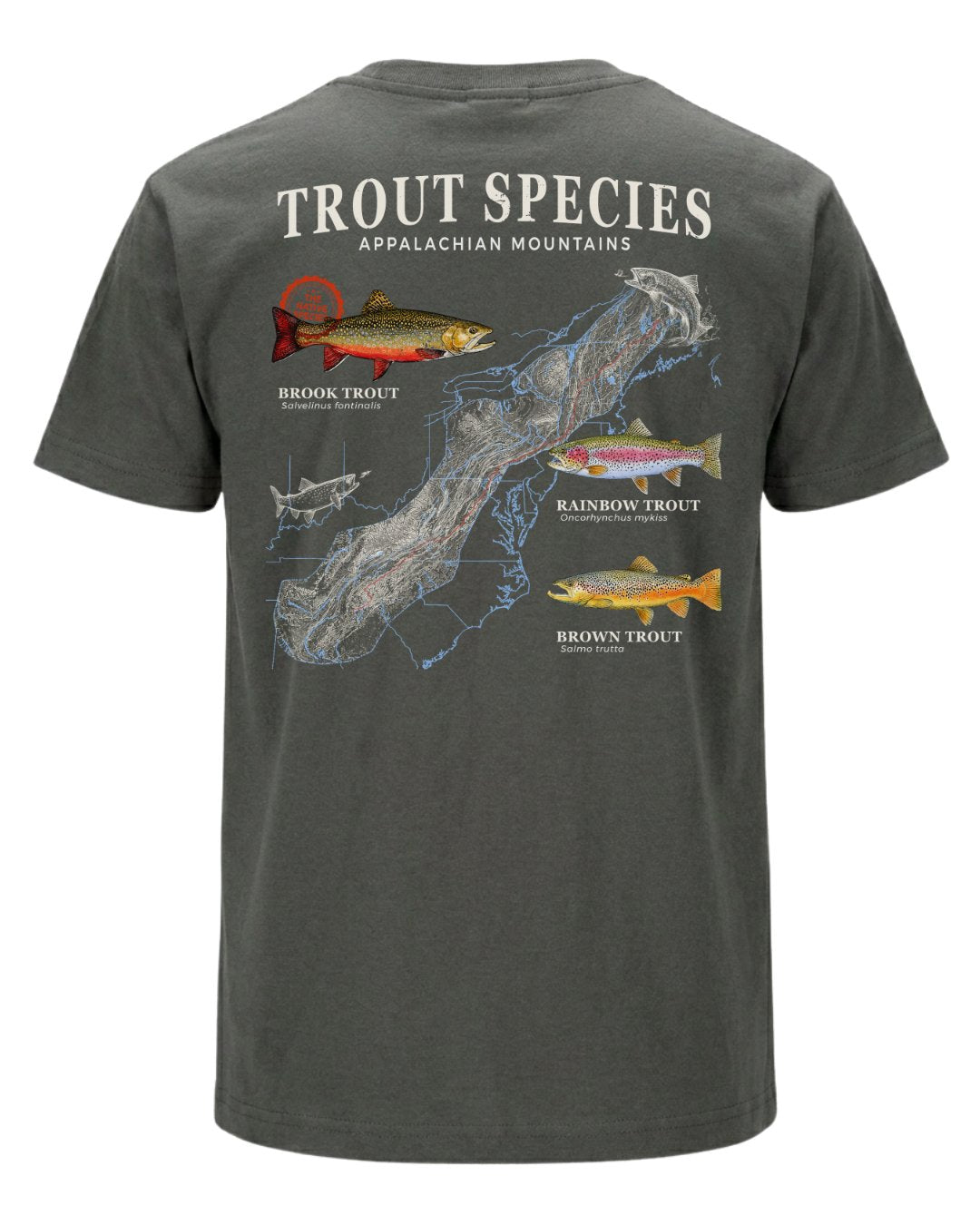 Trout Species Of The Appalachian Mountains T-shirt Main image