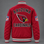 Unisex Arizona Cardinals Red Varsity Jacket